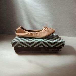 Trary Pink Ballet Flats